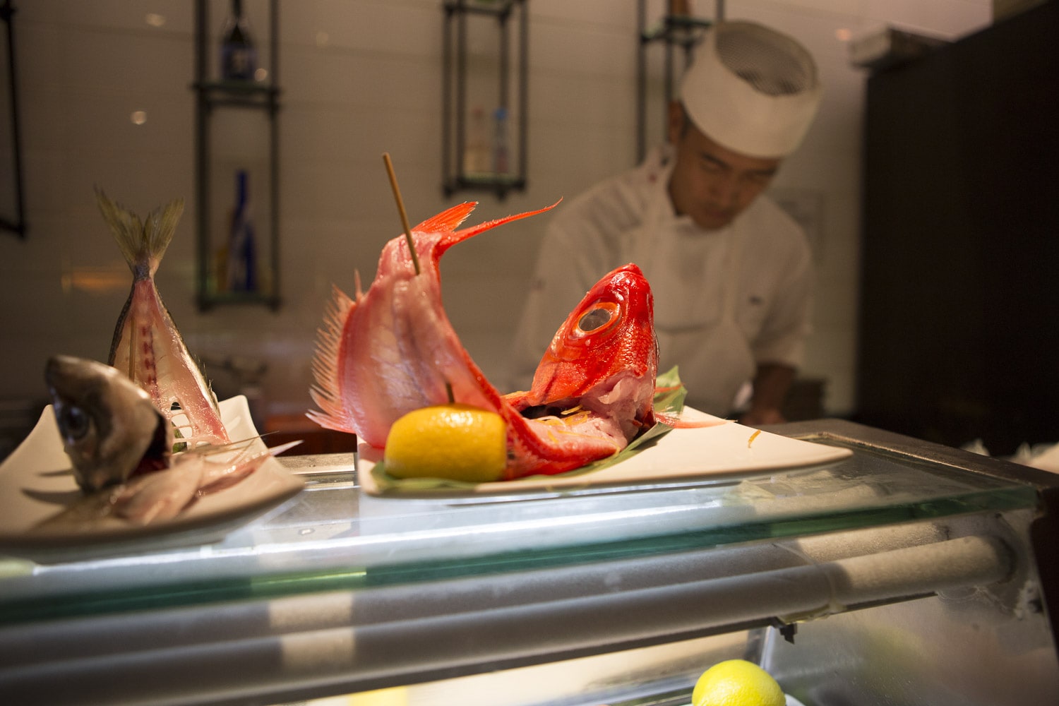 Giacomino Fish Special Sushi House Unico Fish Special Dish Sushi House Unico