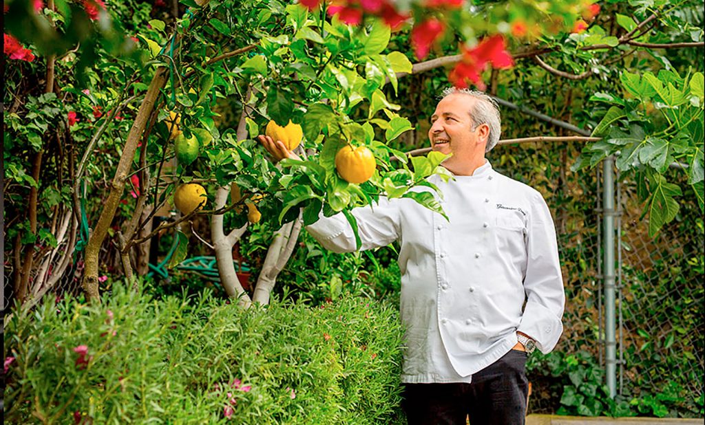 Giacomino Drago in Garden 2017